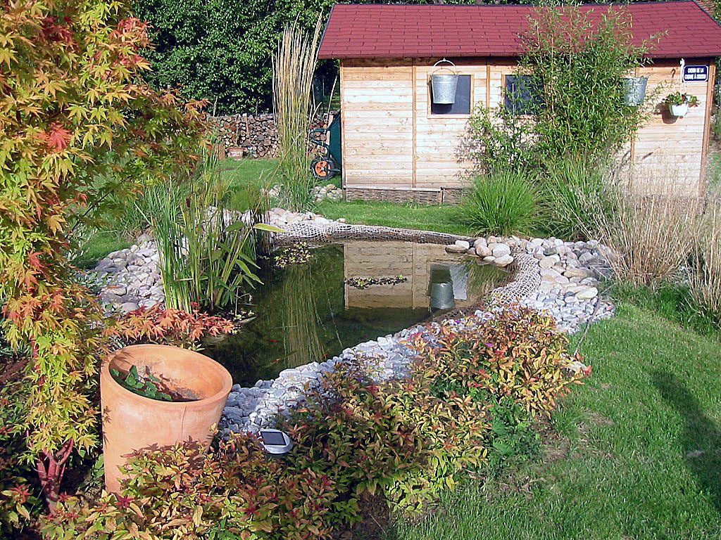 Mare naturelle bordée de galets devant un abri de jardin